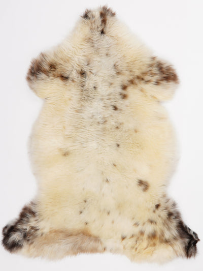 Multicolour Sheepskin Rug L