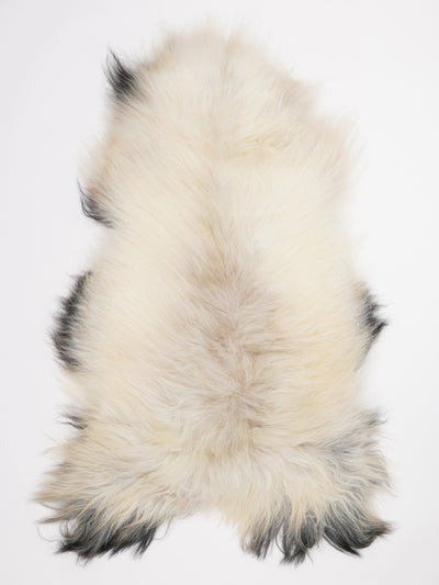 Icelandic Multicolour Sheepskin Rug XXL