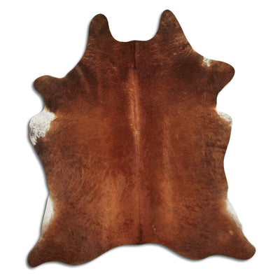 Pelle bovina marrone XL