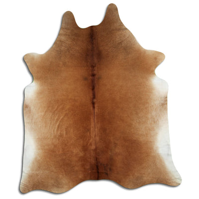 Pelle bovina marrone XXXL