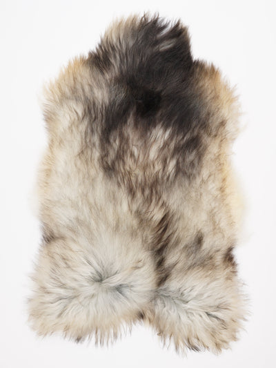 Pelle di pecora grigia islandese XXL