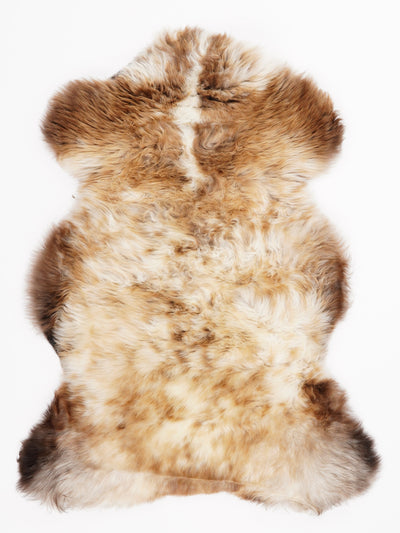 Multicolour Sheepskin Rug L