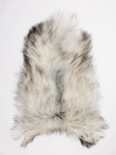 Pelle di pecora islandese multicolore XXL