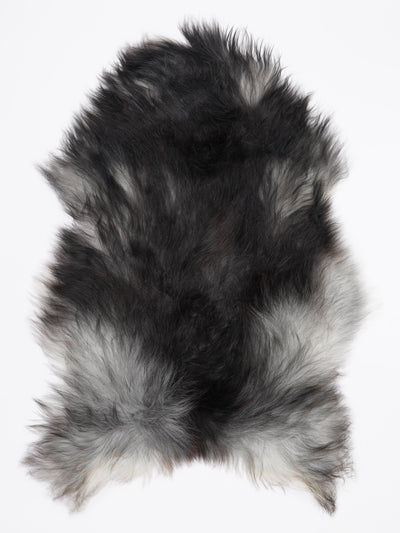 Pelle di pecora grigia islandese XL