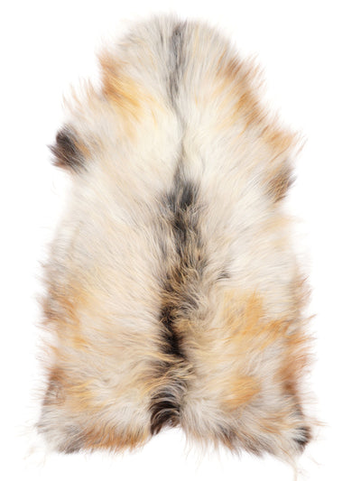 Pelle di pecora islandese multicolore L