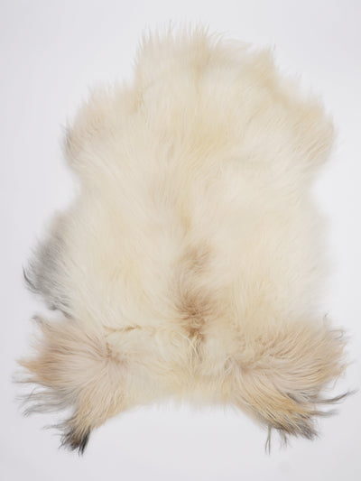 Pelle di pecora islandese multicolore XL