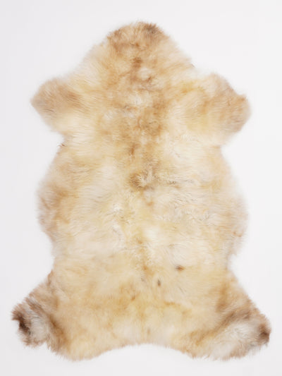 Multicolour Sheepskin Rug L