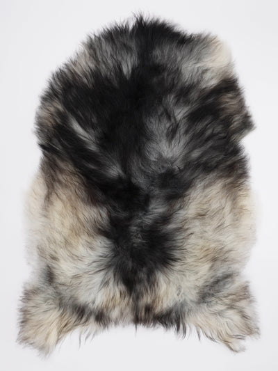 Pelle di pecora grigia islandese L