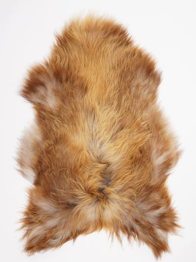 Icelandic Multicolour Sheepskin Rug XXL