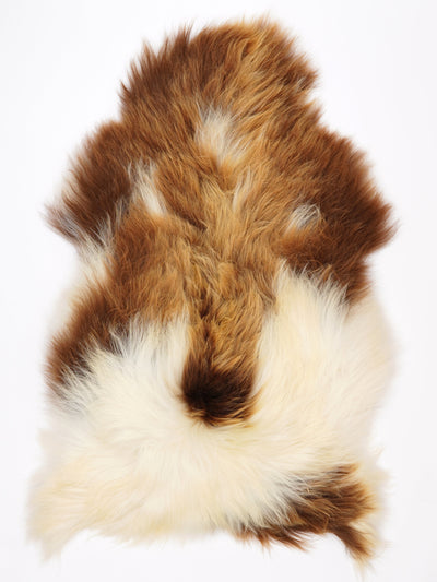 Icelandic Multicoloured Sheepskin Rug XXL
