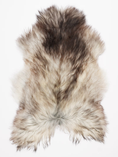 Pelle di pecora grigia islandese L