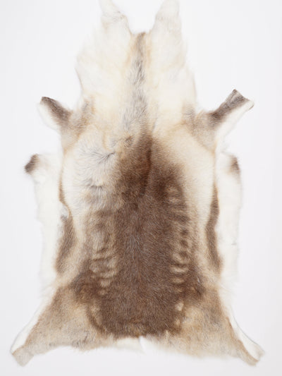 Reindeer Hide XXXL