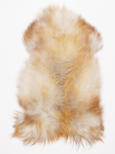 Pelle di pecora islandese multicolore L