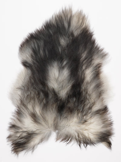 Pelle di pecora grigia islandese L