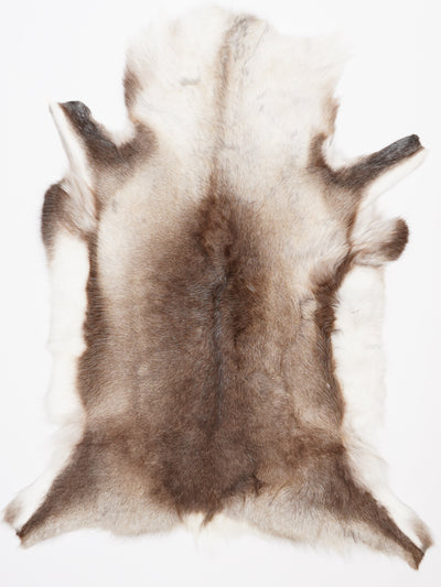 Reindeer Hide XXL