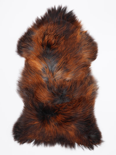 Pelle di pecora islandese multicolore XL