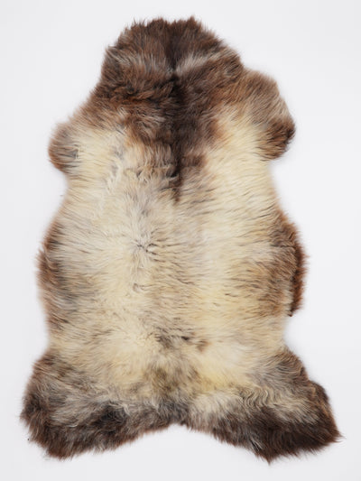 Pelle di pecora multicolore L