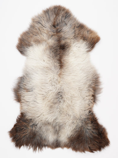 Pelle di pecora multicolore XL