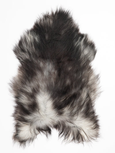 Pelle di pecora grigia islandese XL