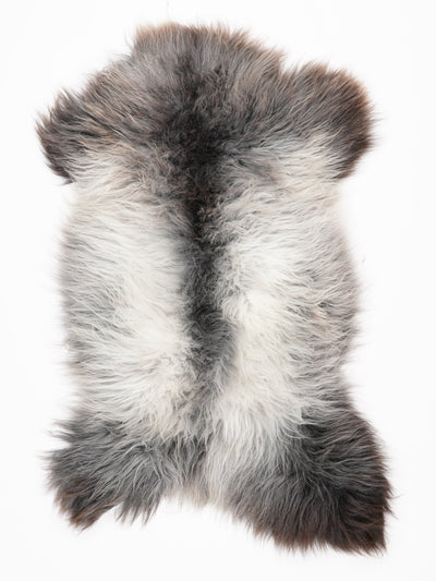 Pelle di pecora multicolore XL