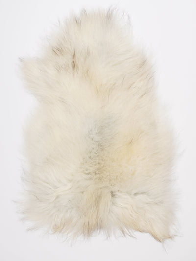 Pelle di pecora islandese multicolore L