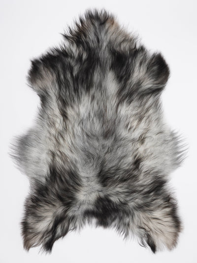 Pelle di pecora grigia islandese XL