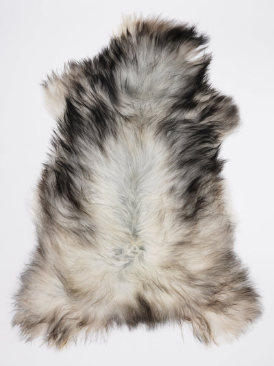 Pelle di pecora grigia islandese XL