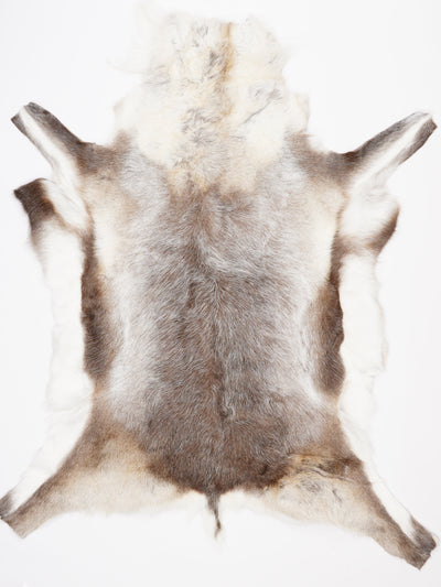Reindeer Hide XXXXL