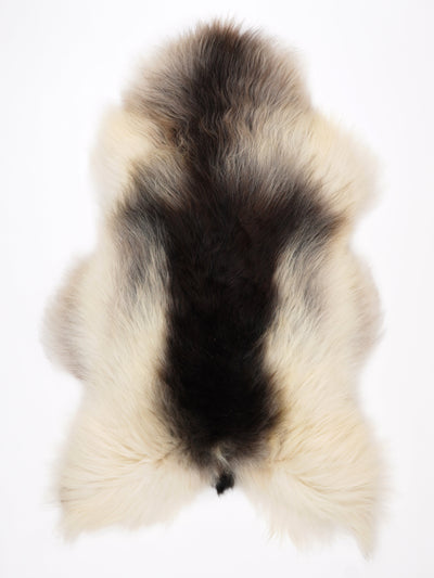 Pelle di pecora islandese multicolore XXL