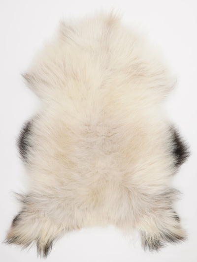 Icelandic sheepskin XL