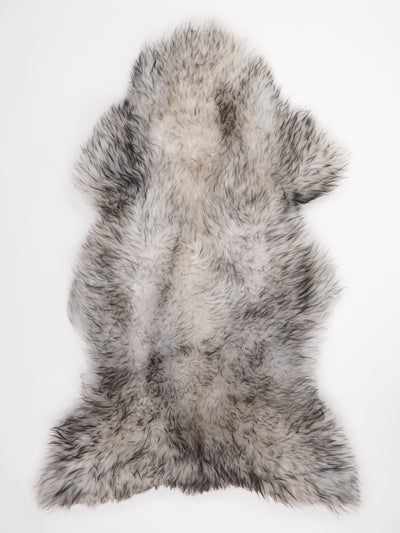 Mouflon Sheepskin Rug XL