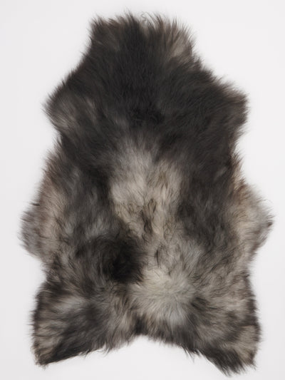 Pelle di pecora grigia islandese XL