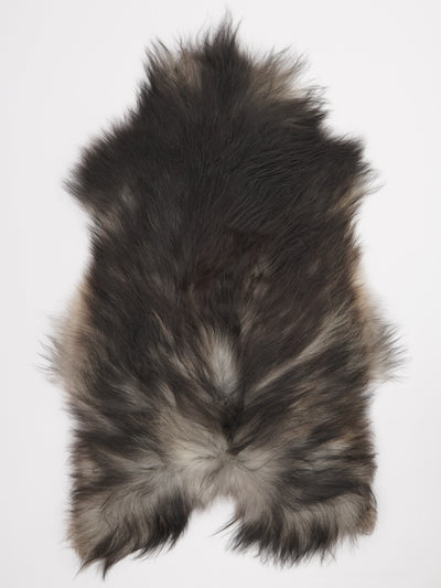 Pelle di pecora grigia islandese XL