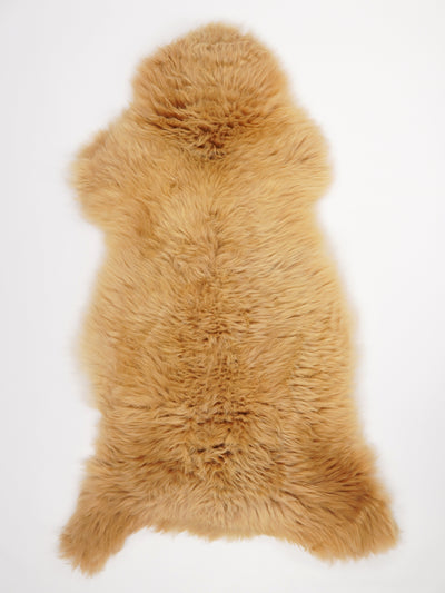 Multicolour Sheepskin Rug XXL