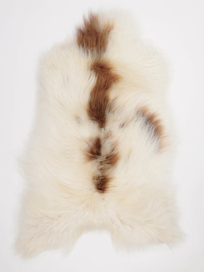 Icelandic sheepskin XL