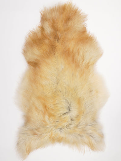 Icelandic sheepskin XL