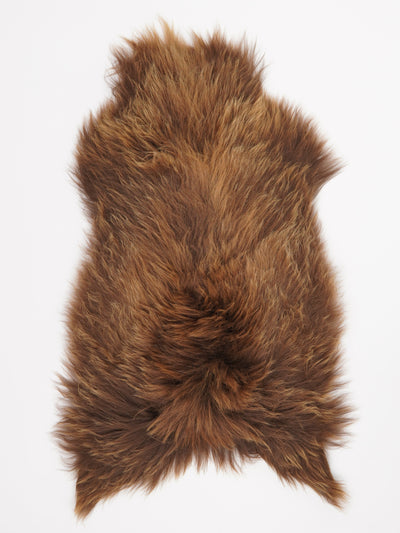 Icelandic sheepskin XL