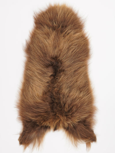 Icelandic sheepskin XL