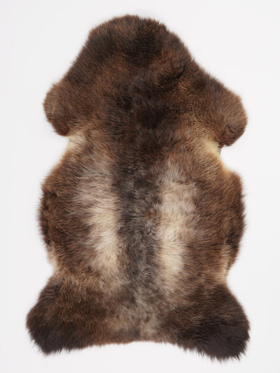 Multi-coloured sheepskin L