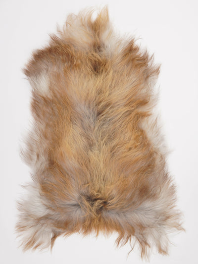 Icelandic sheepskin XL