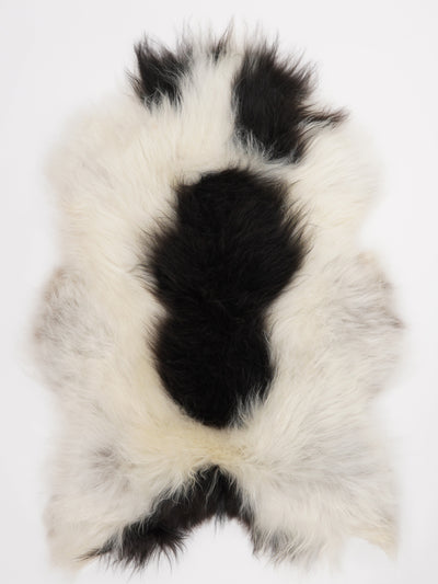 Icelandic Multicoloured Sheepskin Rug XXL