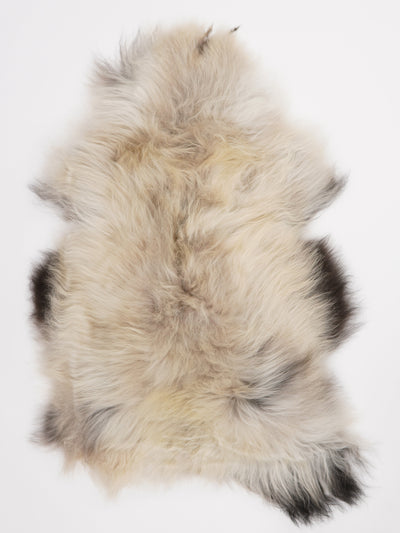 Icelandic Multicolour Sheepskin Rug XL