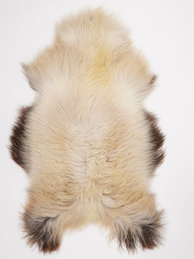 Icelandic sheepskin XXXL