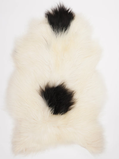 Icelandic sheepskin XXXL