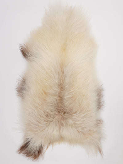 Icelandic Multicolour Sheepskin Rug XXL