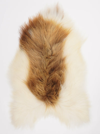 Icelandic sheepskin XL