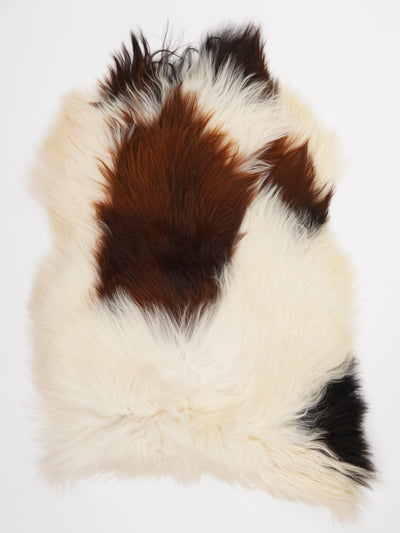 Icelandic sheepskin XXL