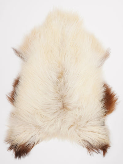 Icelandic sheepskin XL
