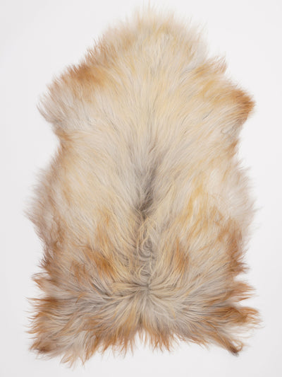 Icelandic sheepskin XL