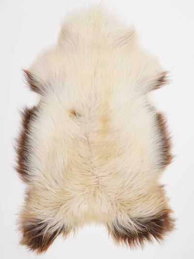 Icelandic Multicolour Sheepskin Rug XL